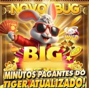 zzwin Plataforma
